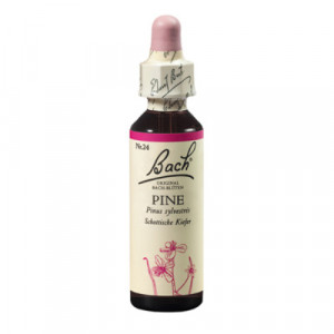 Produktbild von BACHBL&Uuml;TEN Pine Tropfen